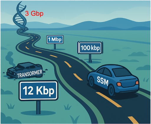 Overview of State Space Models in Genomics