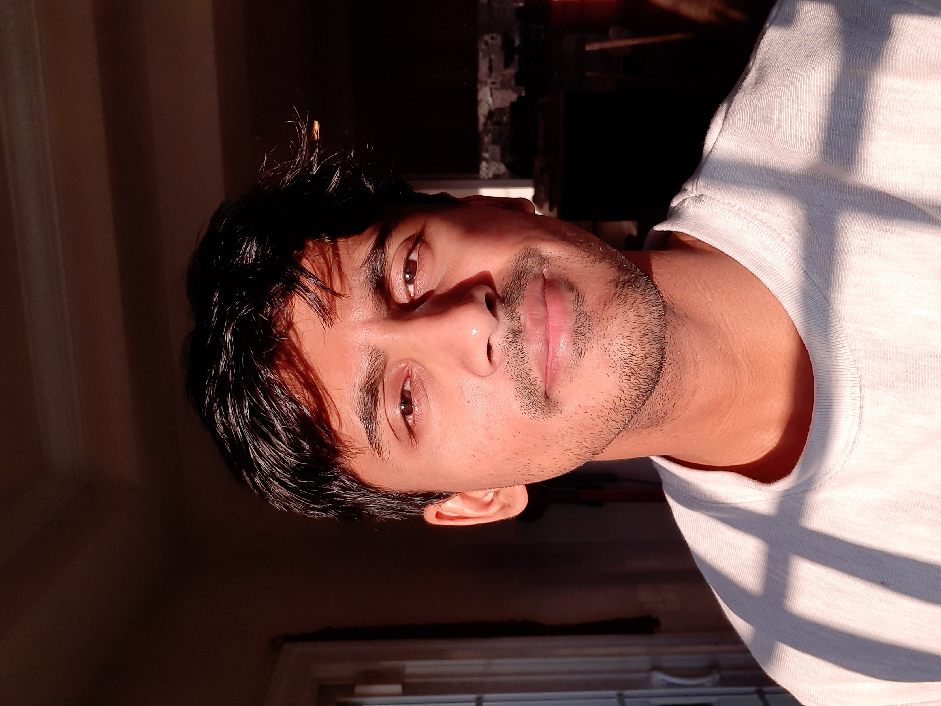 Anirudha Ramesh